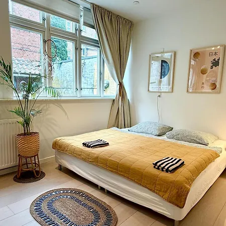 Charming In The Heart Of Lejlighed Århus